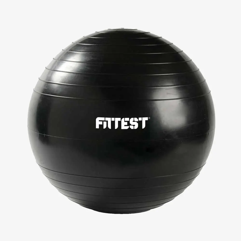 FitBall 65cm